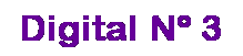 Cuadro de texto: Digital N� 3 
&nbsp;
