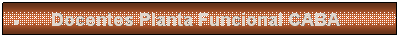 Cuadro de texto: �&nbsp;Docentes Planta Funcional CABA
