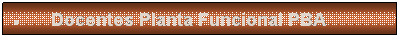 Cuadro de texto: �&nbsp;Docentes Planta Funcional PBA
