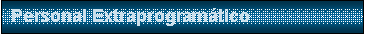 Cuadro de texto: Personal Extraprogram�tico