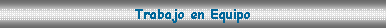 Cuadro de texto: Trabajo en Equipo