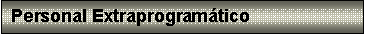 Cuadro de texto: Personal Extraprogram�tico
