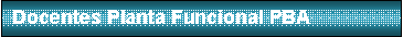 Cuadro de texto: Docentes Planta Funcional PBA