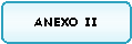 Rect�ngulo redondeado: ANEXO II 