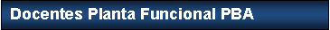 Cuadro de texto: Docentes Planta Funcional PBA