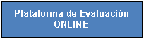 Cuadro de texto: Plataforma de Evaluaci�n ONLINE