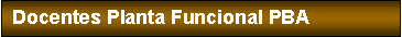 Cuadro de texto: Docentes Planta Funcional PBA