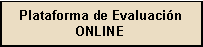 Cuadro de texto: Plataforma de Evaluaci�n ONLINE
