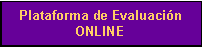 Cuadro de texto: Plataforma de Evaluaci�n ONLINE